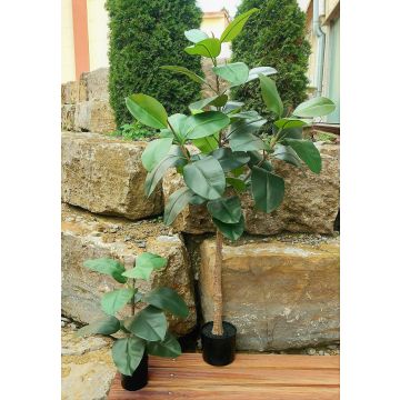 Albero di gomma artificiale FRODELINDE, tronco artificiale, verde, 120 cm