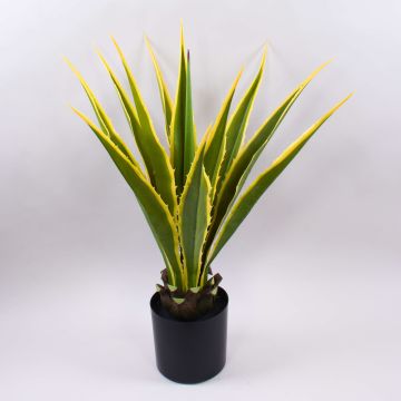 Agave furcraea gigantea artificiale CHERIE, verde-giallo, 80cm Agave furcraea gigantea artificiale CHERIE, verde-giallo, 80cm
