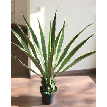 Agave furcraea gigantea artificiale CHERIE, verde-grigio, 80 cm Agave furcraea gigantea artificiale CHERIE, verde-grigio, 80 cm