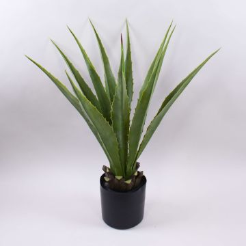 Agave furcraea gigantea artificiale CHERIE, verde-grigio, 80cm Agave furcraea gigantea artificiale CHERIE, verde-grigio, 80cm