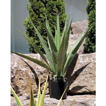 Agave furcraea gigantea artificiale CHERIE, verde-grigio, 100 cm