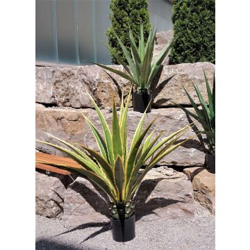 Agave furcraea gigantea artificiale CHERIE, verde-grigio, 120cm Agave furcraea gigantea artificiale CHERIE, verde-grigio, 120cm
