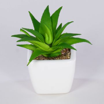 Aloe vera decorativa KATNISS, vaso in ceramica, verde, 9 cm