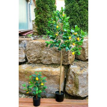 Albero di limoni artificiale AINSLEY con frutti, tronco artificiale, 200 cm