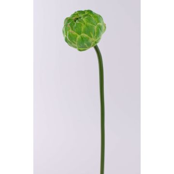 Carciofo decorativo ABUKUMA, verde, 50 cm