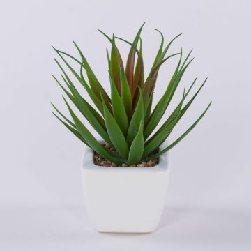 Agave decorativa KATNISS in vaso di ceramica, verde-rosso, 19 cm