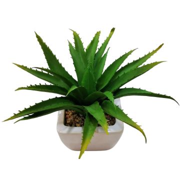 Aloe vera decorativa KATNISS, vaso di ceramica, verde, 19 cm