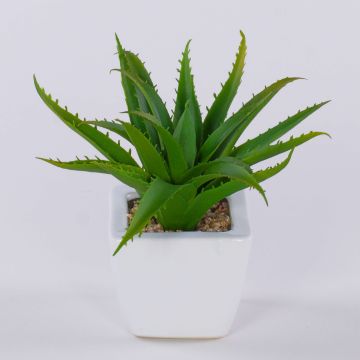 Aloe vera decorativa KATNISS, vaso di ceramica, verde, 19 cm