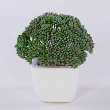 Pianta artificiale Sedum telephium KATNISS, vaso di ceramica, verde, 14 cm