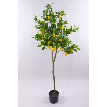 Albero di limoni artificiale AINSLEY con frutti, tronco artificiale, 150cm Albero di limoni artificiale AINSLEY con frutti, tronco artificiale, 150cm