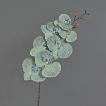 Ramo artificiale orchidea Phalaenopsis LAWANDA, bianco-lilla, 90 cm