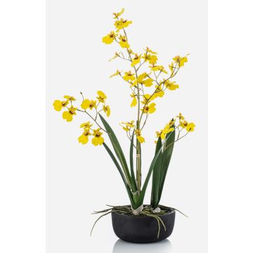 Fiore artificiale orchidea Oncidium DEISHA in vaso decorativo, radici, giallo, 60 cm