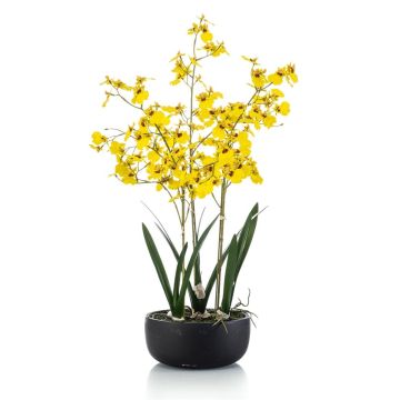 Fiore artificiale Oncidium Orchidea DEISHA in vaso decorativo, radici, giallo, 70 cm Fiore artificiale Oncidium Orchidea DEISHA in vaso decorativo, radici, giallo, 70 cm