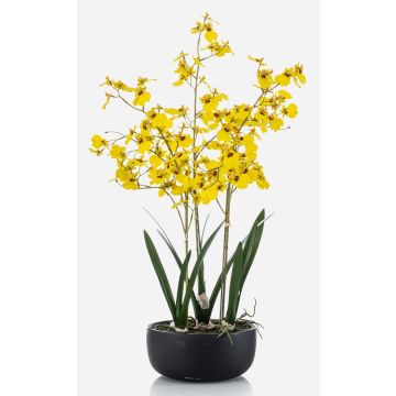 Fiore artificiale Oncidium Orchidea DEISHA in vaso decorativo, radici, giallo, 70 cm