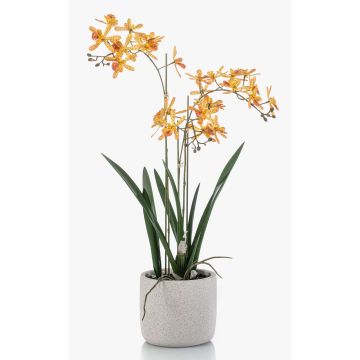 Orchidea artificiale Renanthera BLANI in vaso di ceramica, radici, giallo-rosa, 55 cm Orchidea artificiale Renanthera BLANI in vaso di ceramica, radici, giallo-rosa, 55 cm