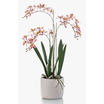 Orchidea artificiale Renanthera BLANI in vaso di ceramica, radici, bianco-fucsia-giallo, 55cm Orchidea artificiale Renanthera BLANI in vaso di ceramica, radici, bianco-fucsia-giallo, 55cm