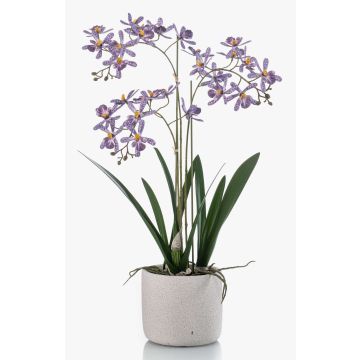 Orchidea artificiale Renanthera BLANI in vaso di ceramica, radici, viola-bianco-giallo, 55 cm
