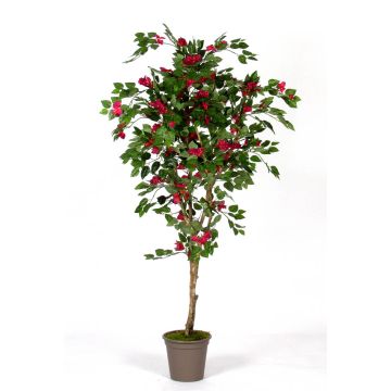 Bougainvillea artificiale ISMUNDE, tronco vero, fiori, rosa, 180 cm - Made in Italy