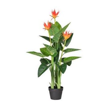 Fiore artificiale canna indiana ZILFON in vaso decorativo, arancione, 105 cm