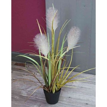 Erba della pampa artificiale NICOLAS con pannocchie, verde-marrone, 50cm Erba della pampa artificiale NICOLAS con pannocchie, verde-marrone, 50cm