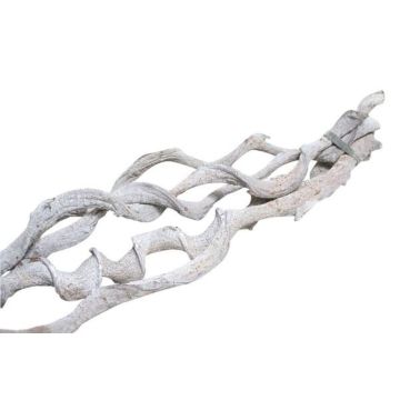 Rami di vite secchi VINO, 5 pezzi, sbiancati, 60 cm, Ø 2 cm