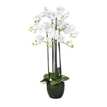 Fiore decorativo orchidea Phalaenopsis PINSARY, globo terrestre, radici, bianco, 95 cm Fiore decorativo orchidea Phalaenopsis PINSARY, globo terrestre, radici, bianco, 95 cm