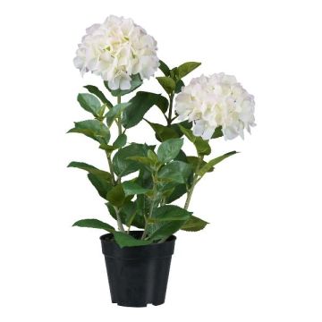 Fiore decorativo ortensia BINEFA, bianco, 60 cm