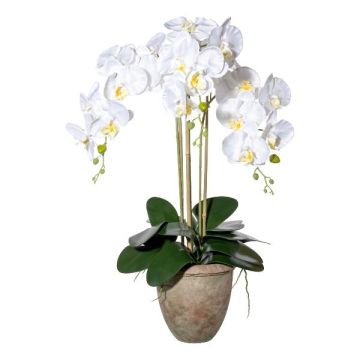 Orchidea Phalaenopsis in tessuto FRIMTOR in vaso di terracotta, radici, bianca, 75 cm Orchidea Phalaenopsis in tessuto FRIMTOR in vaso di terracotta, radici, bianca, 75 cm