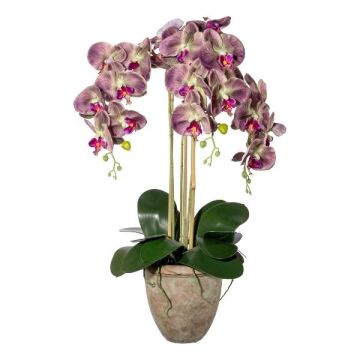 Orchidea Phalaenopsis in tessuto FRIMTOR in vaso di terracotta, radici, verde-lilla, 75 cm