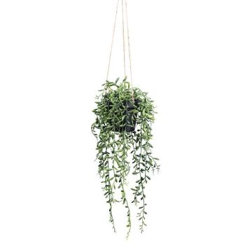 Succulenta artificiale Senecio GRISTY in vaso decorativo, pensile, verde, 55 cm