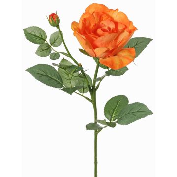 Fiore artificiale rosa WAIOLA, arancione, 65cm, Ø11cm