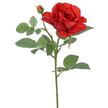 Fiore artificiale rosa WAIOLA, rosso, 65 cm, Ø 11 cm