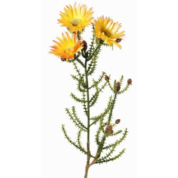 Fiore artificiale di capogiro BEYA, giallo-arancione chiaro, 60cm, Ø6cm Fiore artificiale di capogiro BEYA, giallo-arancione chiaro, 60cm, Ø6cm