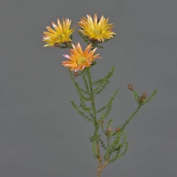 Fiore artificiale di capogiro BEYA, giallo-arancione chiaro, 60 cm, Ø 6 cm