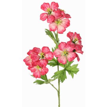 Pianta artificiale geranio ramo ZEDENA, fucsia-crema, 70cm, Ø6cm Pianta artificiale geranio ramo ZEDENA, fucsia-crema, 70cm, Ø6cm