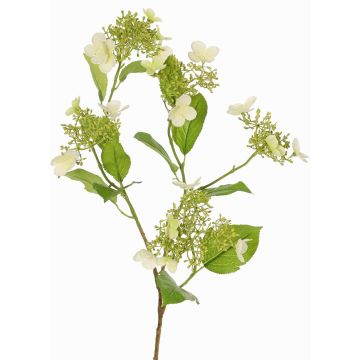 Ramo artificiale di ortensia KATHANI, crema, 80 cm Ramo artificiale di ortensia KATHANI, crema, 80 cm