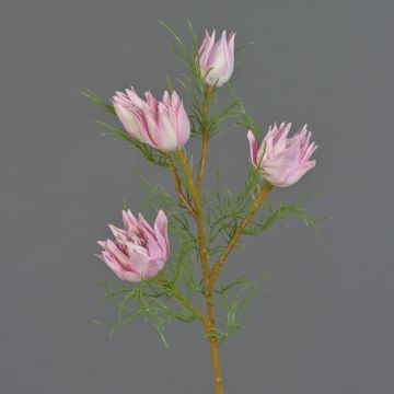 Ramo decorativo Protea NOHEA, rosa delicato, 60 cm