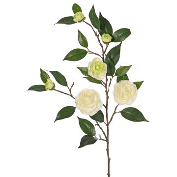 Ramo di camelia artificiale YARINA con fiori, crema-verde, 75cm Ramo di camelia artificiale YARINA con fiori, crema-verde, 75cm