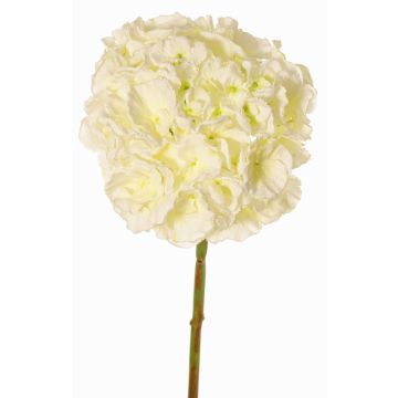 Ortensia artificiale LIRLAFY, bianco-verde, 65cm, Ø20cm Ortensia artificiale LIRLAFY, bianco-verde, 65cm, Ø20cm