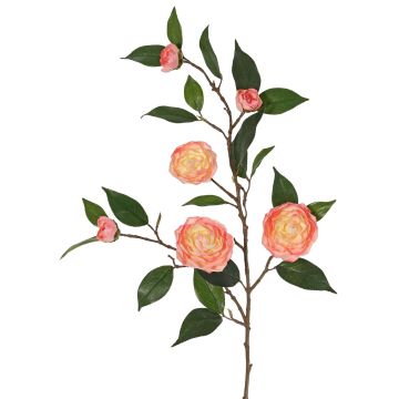 Ramo di camelia artificiale YARINA con fiori, rosa-crema, 75cm Ramo di camelia artificiale YARINA con fiori, rosa-crema, 75cm