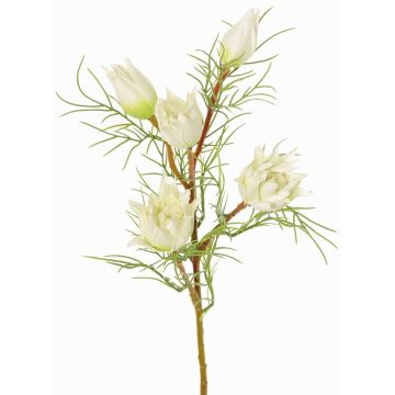 Ramo decorativo protea NOHEA, bianco, 60cm, Ø3-6cm Ramo decorativo protea NOHEA, bianco, 60cm, Ø3-6cm