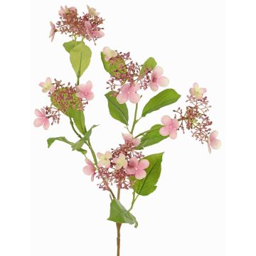 Ramo di ortensia artificiale KATHANI, rosa-crema, 80 cm Ramo di ortensia artificiale KATHANI, rosa-crema, 80 cm