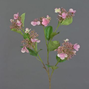 Ramo di ortensia artificiale KATHANI, rosa-crema, 80 cm