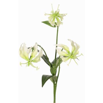 Fiore decorativo Gloriosa XELA, bianco-verde, 50cm, Ø4-7cm