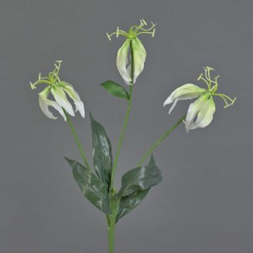 Fiore decorativo Gloriosa XELA, bianco-verde, 50 cm