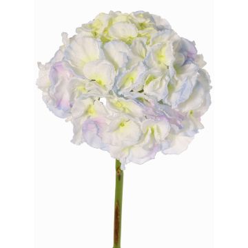 Ortensia artificiale LIRLAFY, azzurro-crema, 65cm, Ø20cm Ortensia artificiale LIRLAFY, azzurro-crema, 65cm, Ø20cm