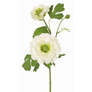 Ramo artificiale ranuncolo SAGARA, bianco-verde, 45cm, Ø5-9cm Ramo artificiale ranuncolo SAGARA, bianco-verde, 45cm, Ø5-9cm