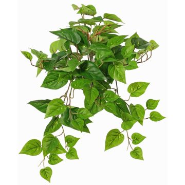 Pianta decorativa edera SHELLEY su bastone, Eco Collection, verde, 55cm