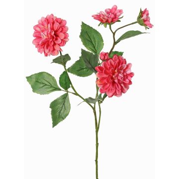 Ramo decorativo dalia artificiale QUINKA, rosa scuro, 70 cm