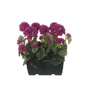 Gerani artificiali FLOREANA in fioriera, 2 pezzi, rosso bordeaux, 24x11x35 cm Gerani artificiali FLOREANA in fioriera, 2 pezzi, rosso bordeaux, 24x11x35 cm
